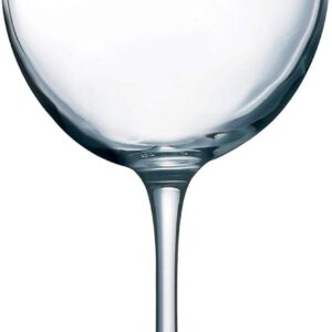 Aspen Brands Cachet 19 Ounce Tulip Party Pack, Set Of 12, Glass, Clear