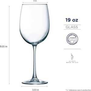 Aspen Brands Cachet 19 Ounce Tulip Party Pack, Set Of 12, Glass, Clear