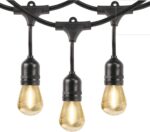 Aspen Brands String Lights