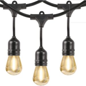 Aspen Brands String Lights